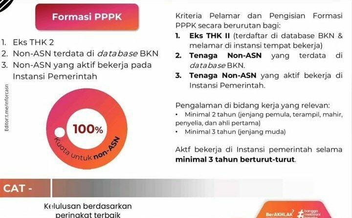 3 Kategori non asn yang dapat melamar pppk 2024